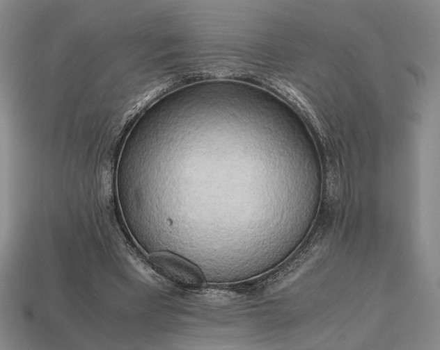 X0000112970393200909101657