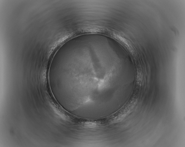 X0000112970394200909101657