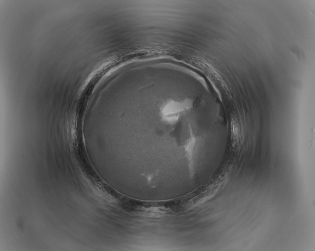 X0000112970396200909101657