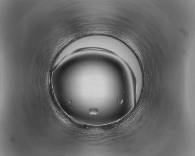 X0000112970397200909101657