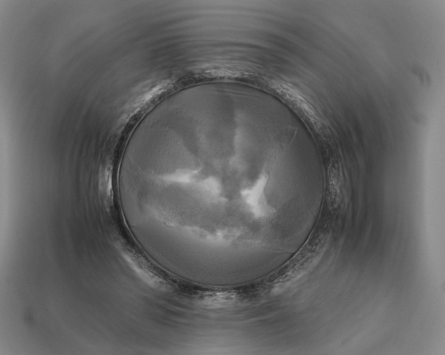 X0000112970398200909101657