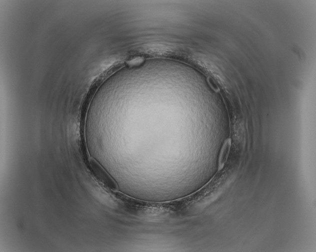 X0000112970399200909101657