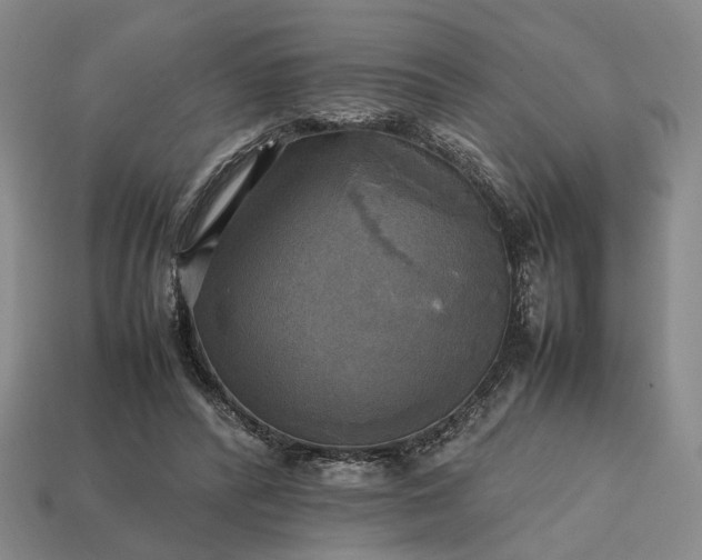 X0000112970400200909101657