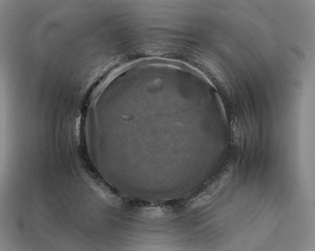 X0000112970404200909101657