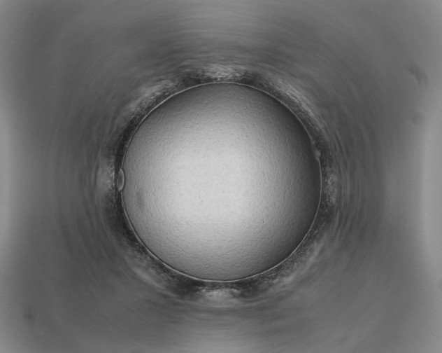 X0000112970407200909101657