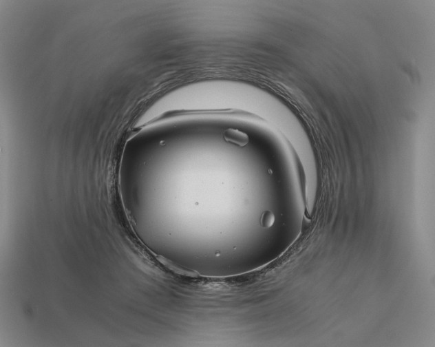 X0000112970409200909101657