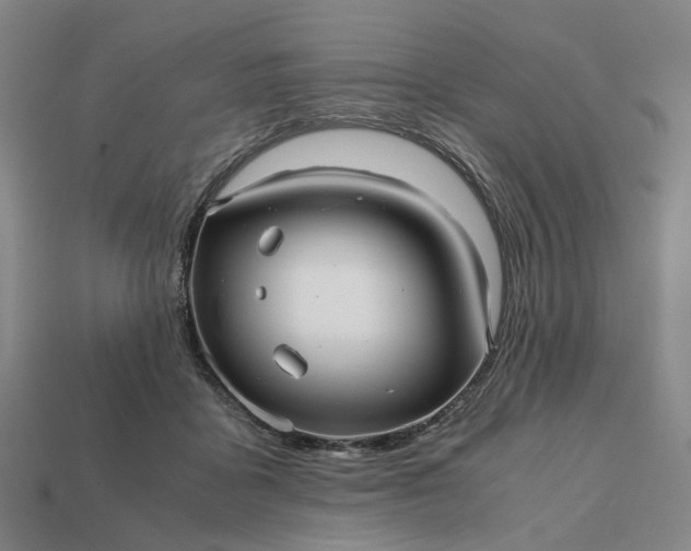 X0000112970411200909101657