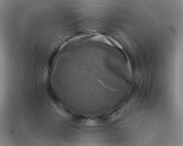 X0000112970412200909101657