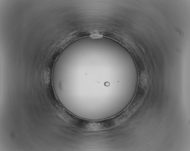 X0000112970413200909101657