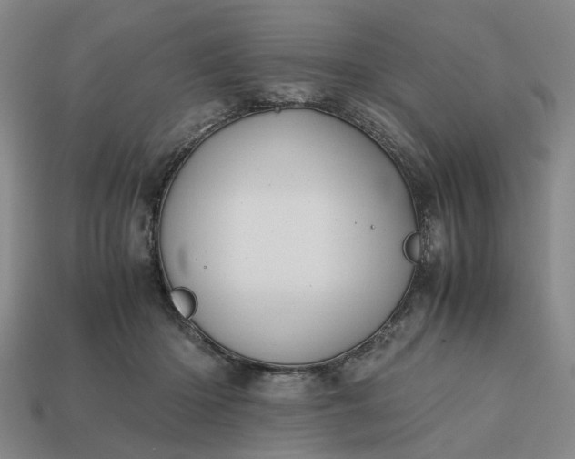 X0000112970414200909101657