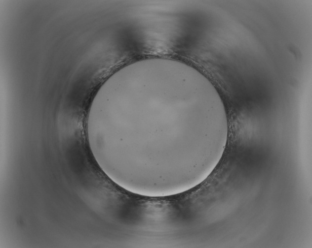 X0000112970415200909101657