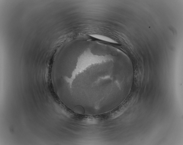 X0000112970416200909101657