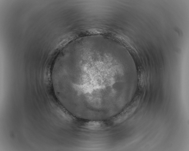 X0000112970418200909101657