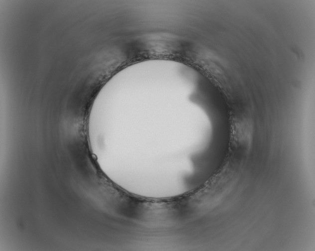 X0000112970419200909101657