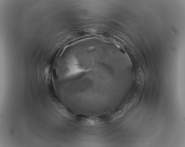 X0000112970420200909101657