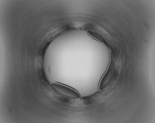 X0000112970421200909101657