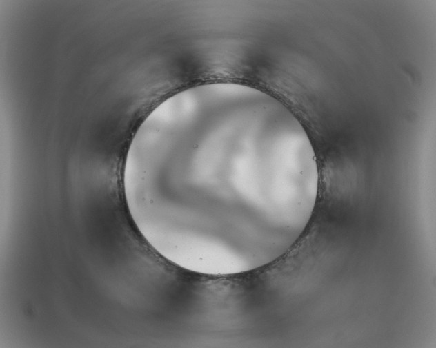 X0000112970423200909101657