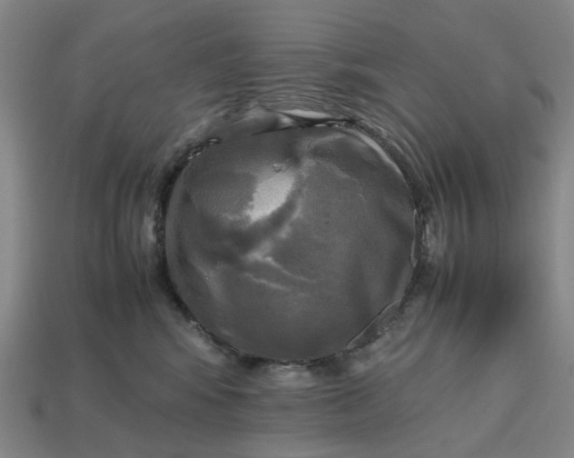 X0000112970424200909101657