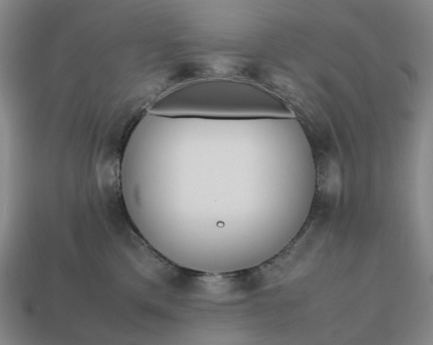 X0000112970425200909101657