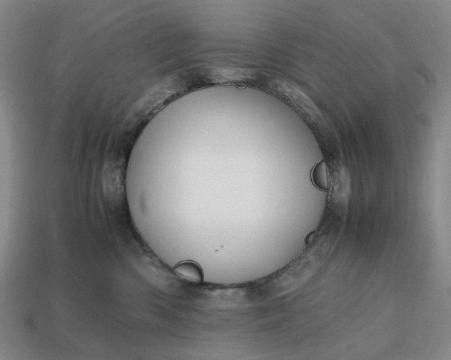 X0000112970426200909101657