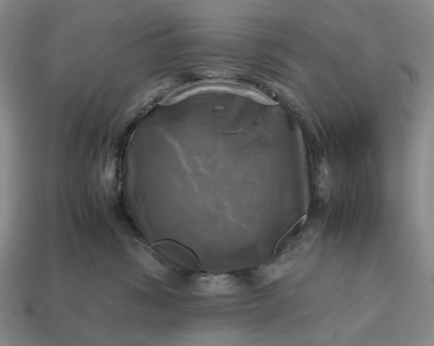 X0000112970428200909101657