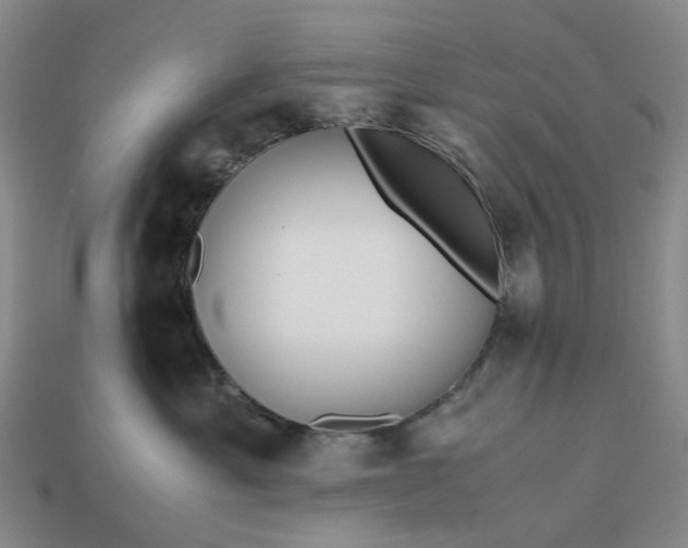 X0000112970429200909101657