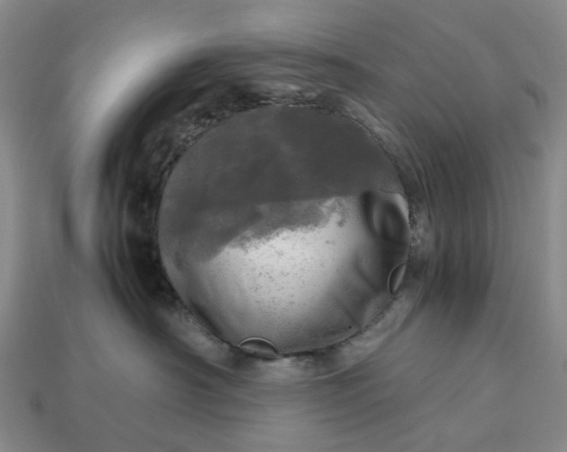 X0000112970430200909101657