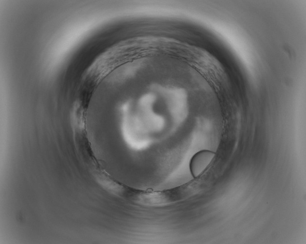 X0000112970431200909101657