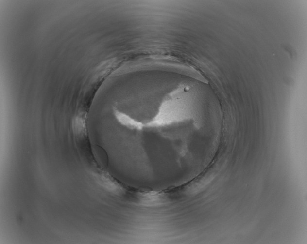 X0000112970432200909101657