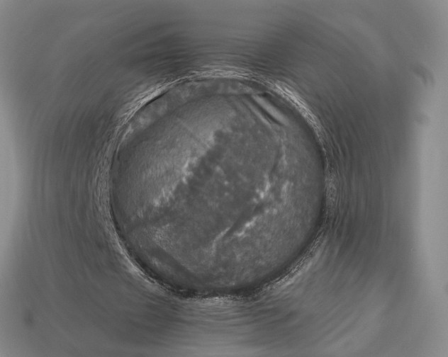 X0000112970433200909101656