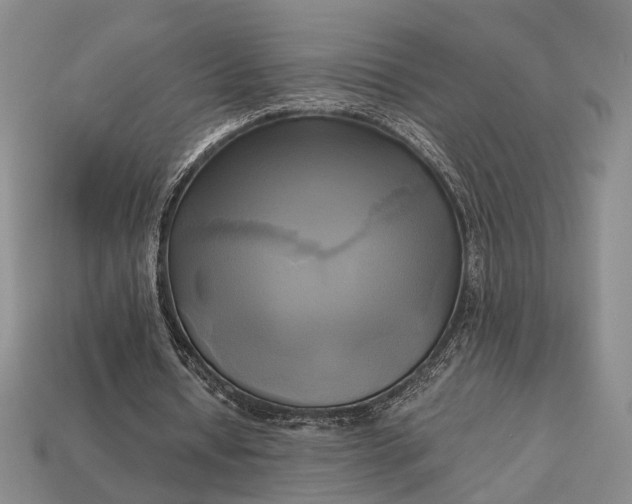 X0000112970434200909101656