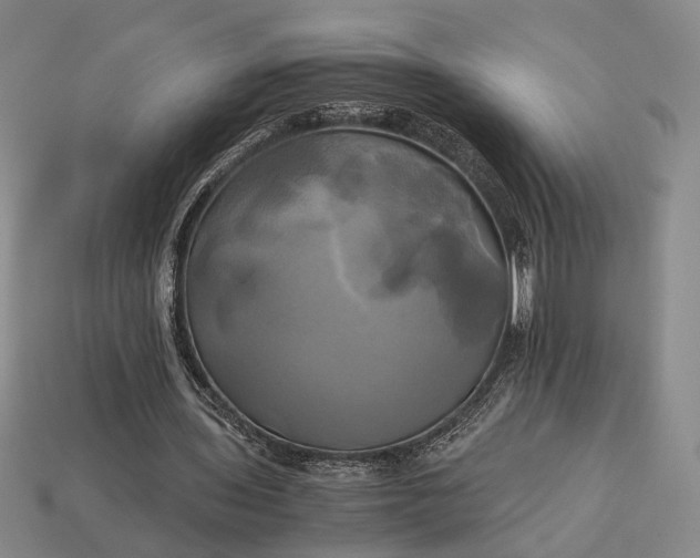 X0000112970435200909101656