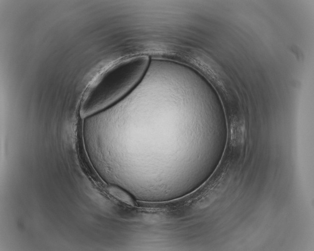 X0000112970436200909101656