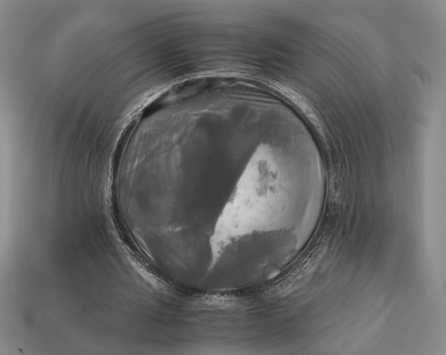 X0000112970437200909101656