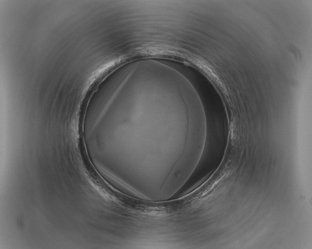 X0000112970438200909101656