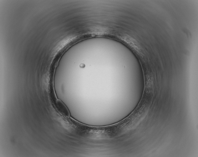 X0000112970440200909101656