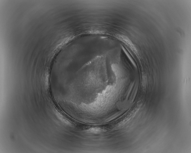 X0000112970441200909101656