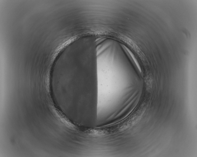 X0000112970442200909101656