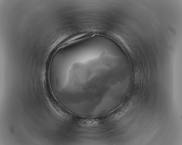 X0000112970443200909101656