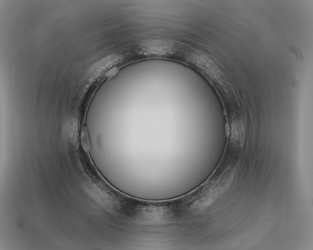 X0000112970444200909101656