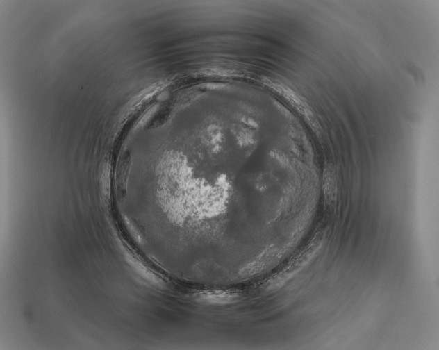 X0000112970445200909101656