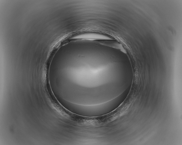 X0000112970446200909101656