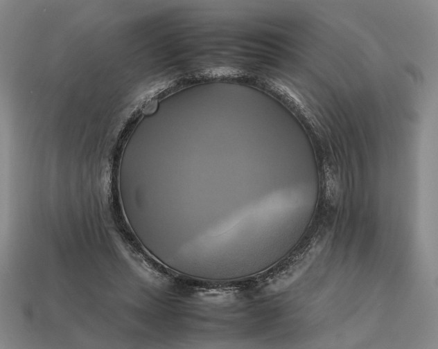 X0000112970447200909101656