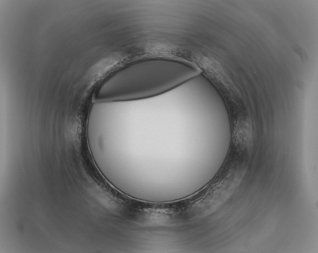 X0000112970448200909101657