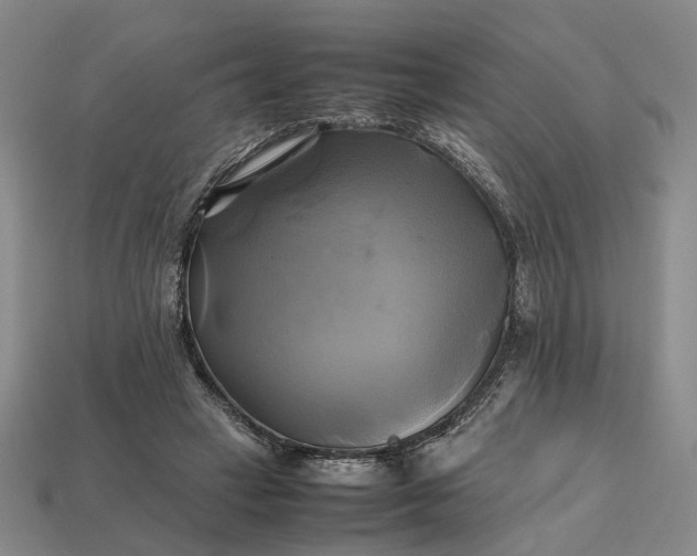 X0000112970449200909101657