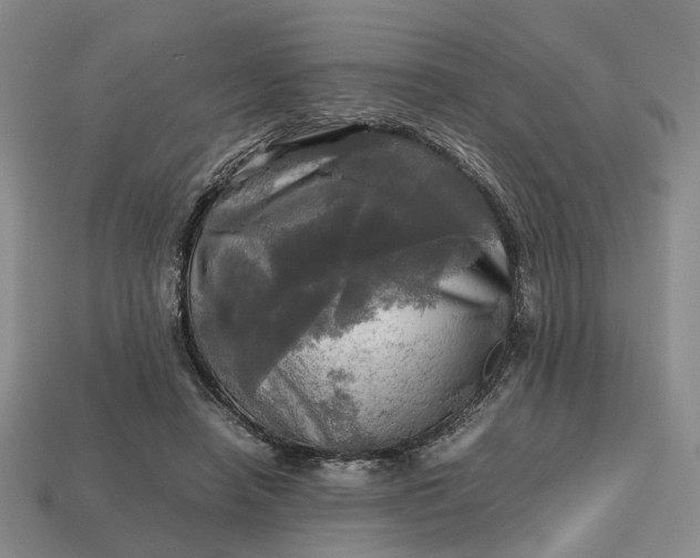 X0000112970450200909101657