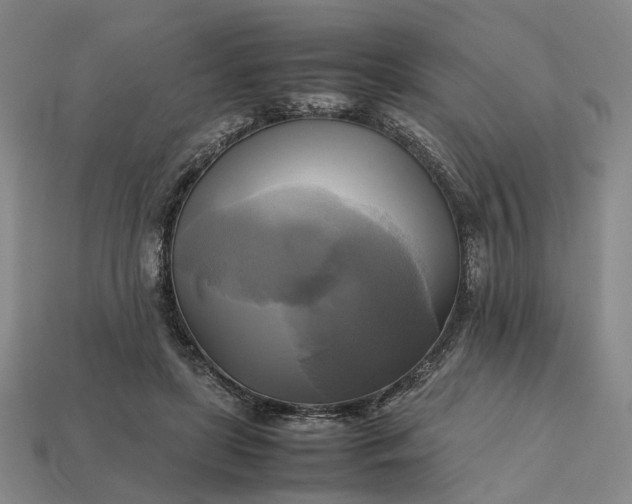 X0000112970451200909101657