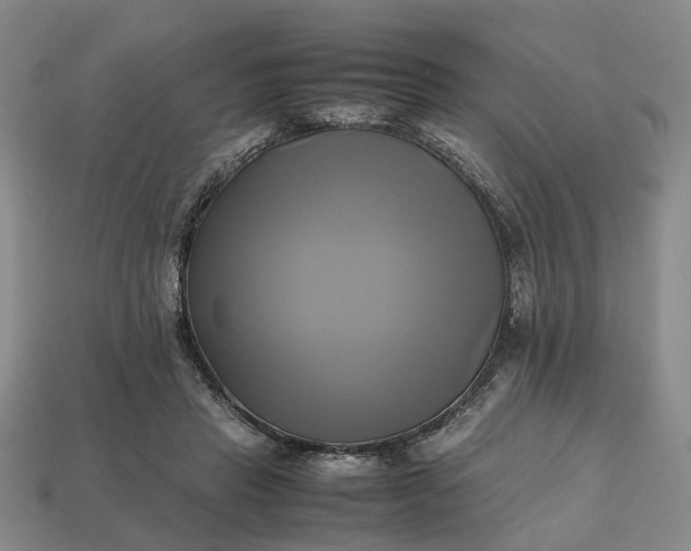 X0000112970453200909101657