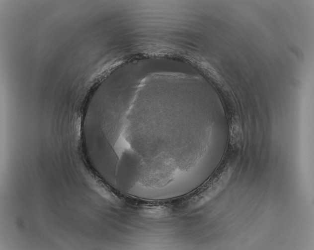 X0000112970454200909101657