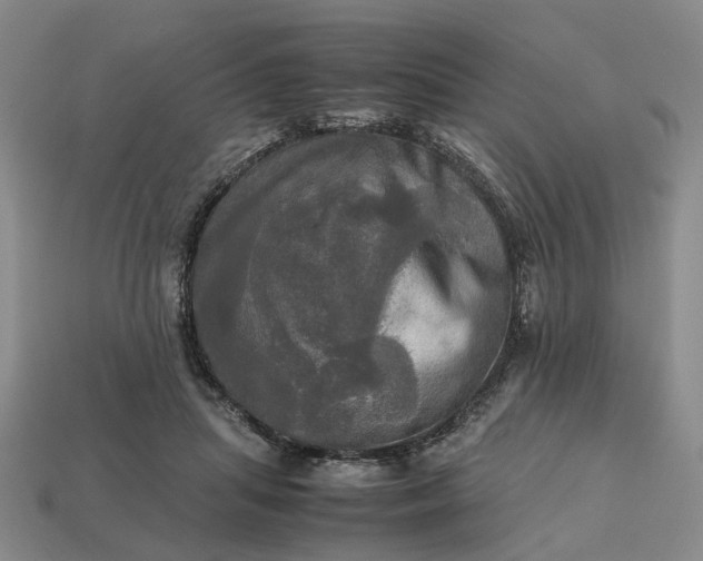 X0000112970455200909101657